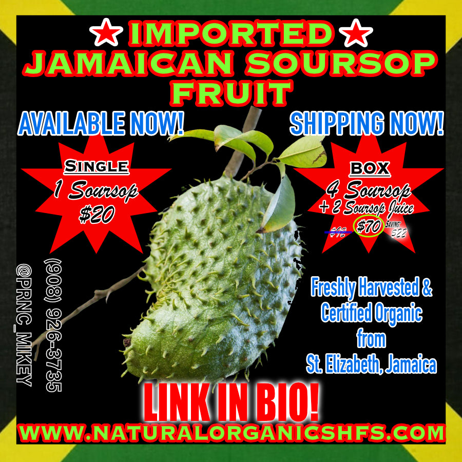 Jamaican Soursop Fruit