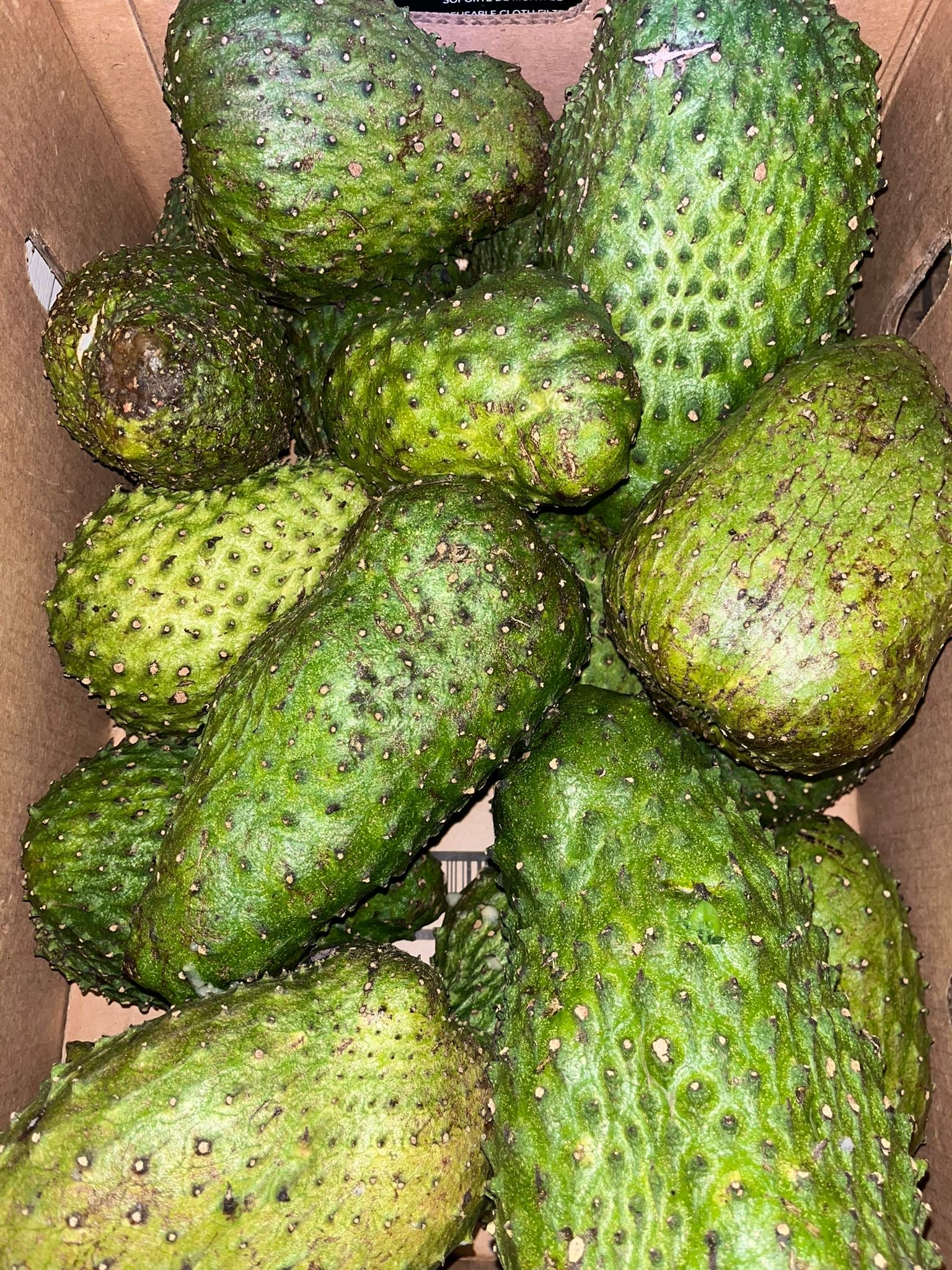 Jamaican Soursop Fruit