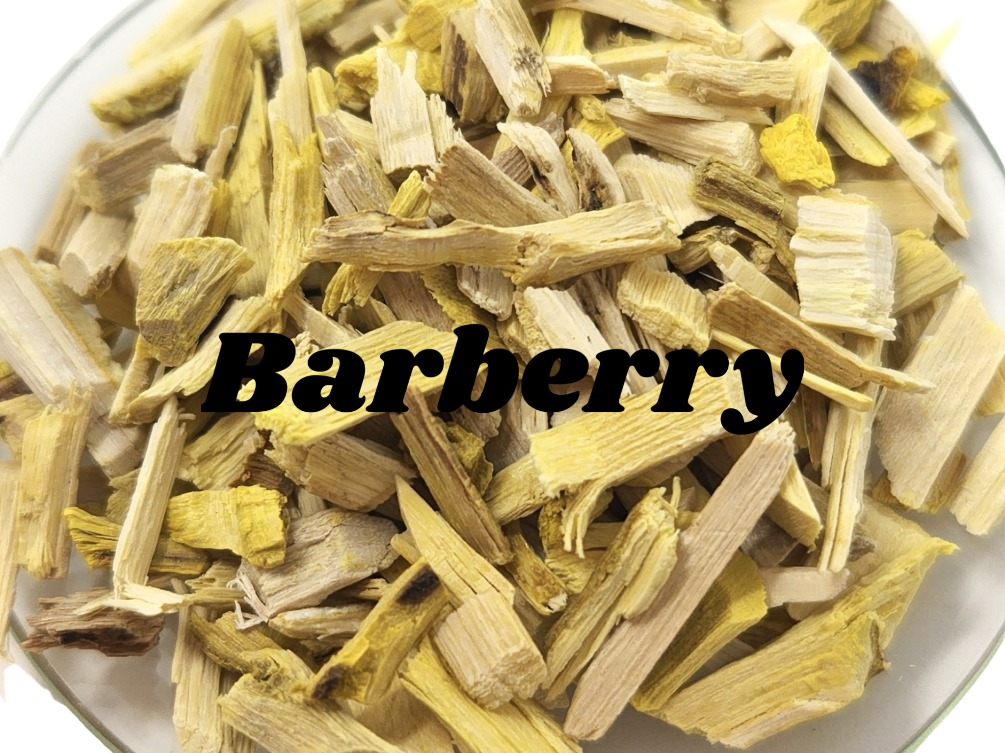 Barberry Root