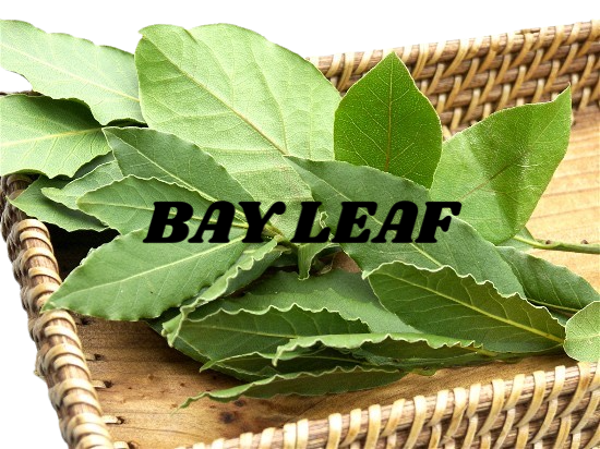 Bay Leaf