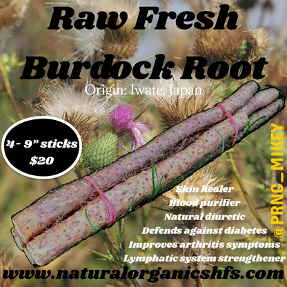 Raw Fresh 9” Burdock Root