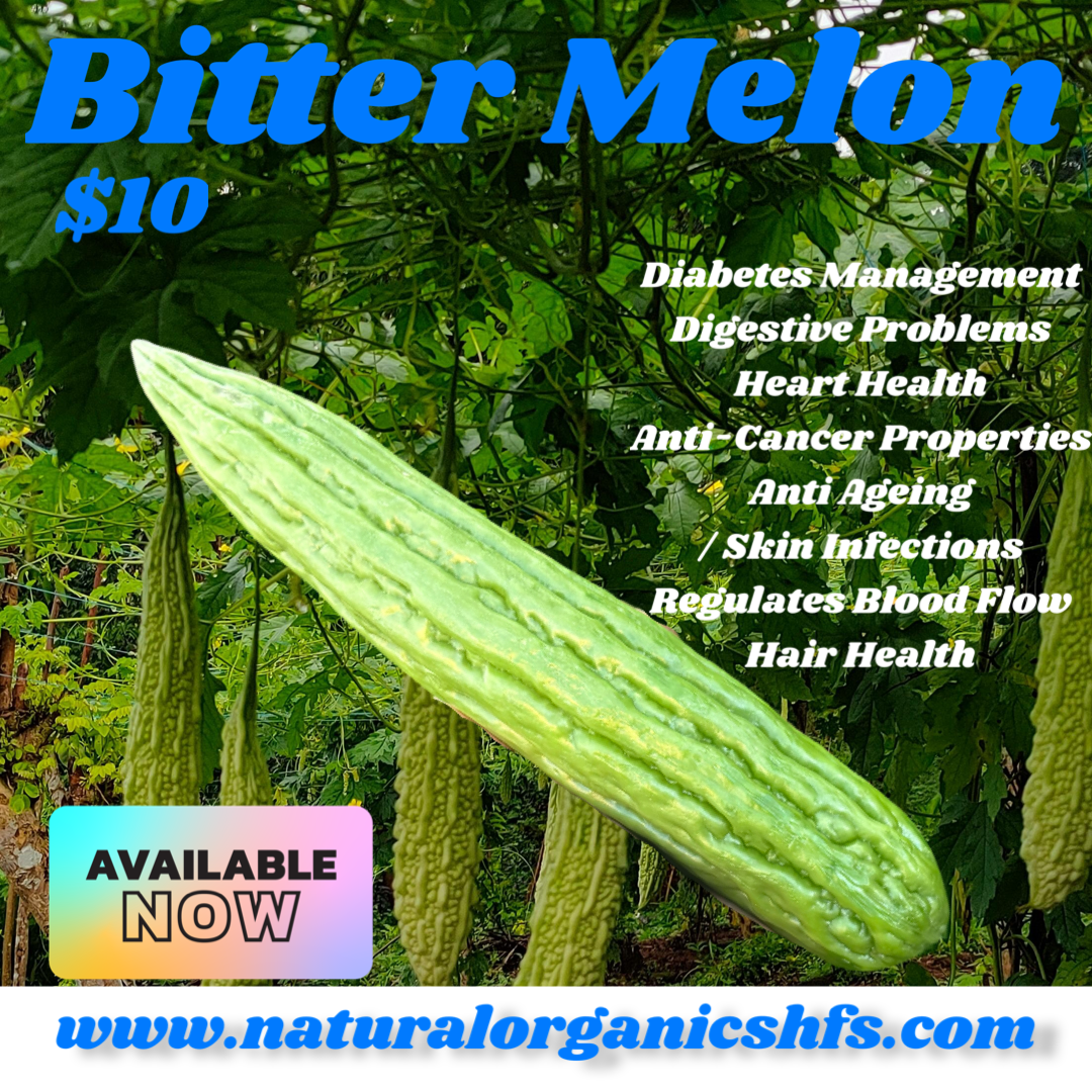 Bitter Melon Fruit